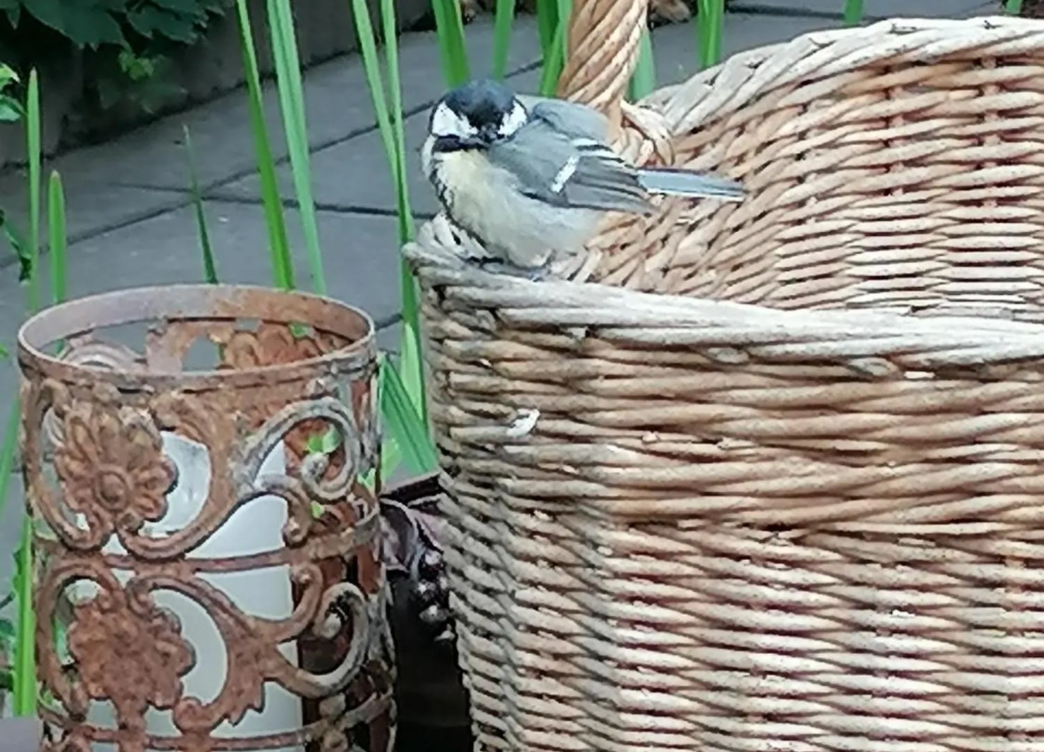 Ferienhaus Im Idyllischen Garten Berlin