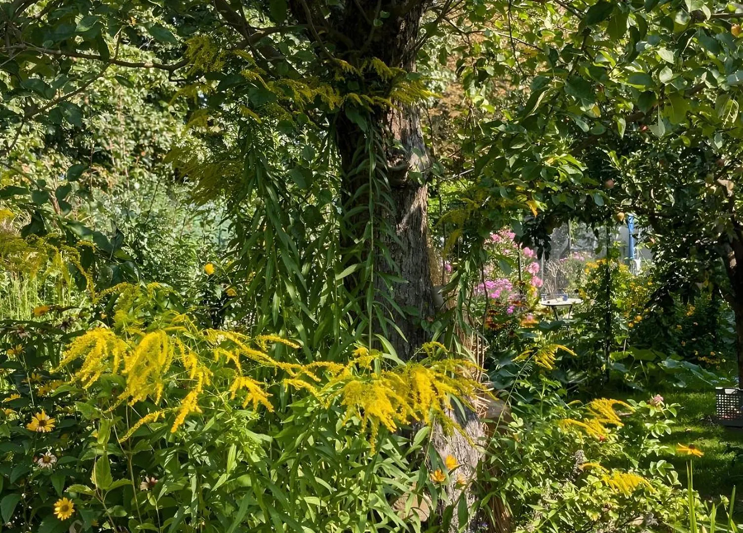 Ferienhaus Im Idyllischen Garten Berlin